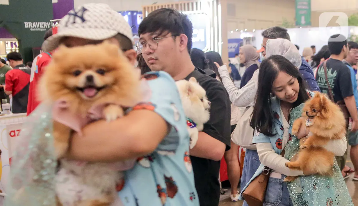 Di Pet Fest Indonesia 2025, pecinta hewan bisa menikmati berbagai aktivitas seru dan interaktif bareng komunitas dari seluruh penjuru Indonesia. (Liputan6.com/Herman Zakharia)