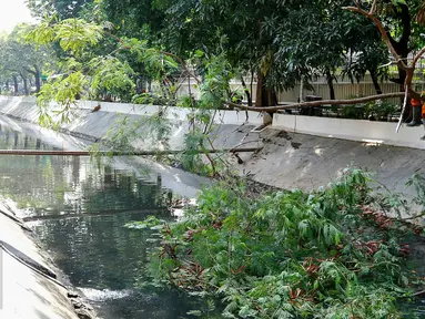 Petugas Dinas Kebersihan DKI Jakarta menebang pohon yang hampir roboh di atas saluran air Bundaran HI, Jakarta, Minggu (15/11/2015). Pohon tersebut dipangkas agar tidak menghambat sampah aliran air. (Liputan6.com/Yoppy Renato)