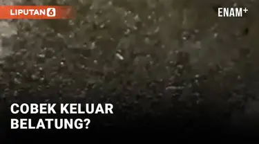 Baru ini media sosial dihebohkan dengan eksperimen sebuah cobek dibakar yang mengeluarkan belatung, kok bisa? Ini penjelasannya...