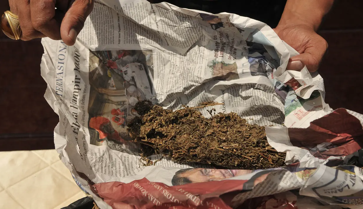 Petugas memperlihatkan ganja kering yang berhasil diamankan, Jakarta, Kamis (30/4/2015). Hasil operasi selama sepekan sepekan (21-29 April) berhasil mengamankan  tujuh kilogram ganja kering dan 57 gram sabu-sabu. (Liputan6.com/Herman Zakharia)