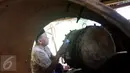 Pengrajin sibuk membuat ukiran di atas kayu untuk dijadikan bedug di Desa Bleder, Ngasinan, Grabag, Magelang, Jawa Tengah, Jumat (3/6). Menjelang Ramadan, pengrajin bedug mulai kebanjiran order dari berbagai kota di Indonesia. (Liputan6.com/Gholib)