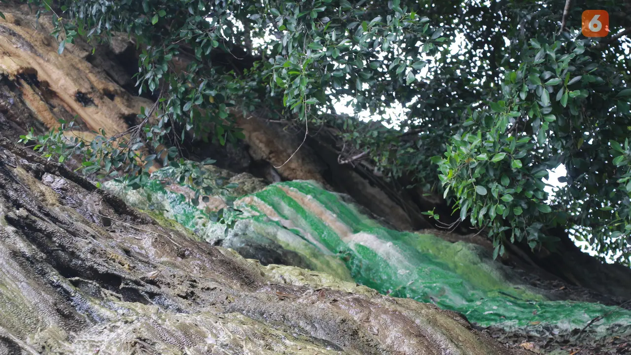 Tebing pelangi Jalur Treking hutan hungayono (Arfandi Ibrahim/Liputan6.com)