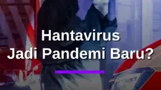 Munculnya kasus hantavirus kembali memunculkan perhatian soal potensi pandemi baru seperti Covid-19.

Namun, sejumlah penjelasan ilmiah menyebut tingkat penularan hantavirus relatif lebih rendah dan berbeda dengan Covid-19.

Lalu, seberapa besar risikonya? #Mdkdw26