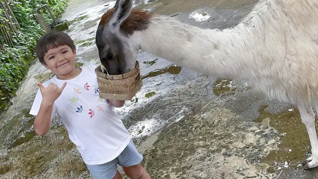 Sempat Diseruduk Zebra, 6 Potret Jessica Iskandar Main Ke Kebun Binatang