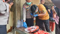 Geger Kantong Sampah Berisi Mayat Bayi di Depok