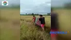 Empat warga yang tewas tersambar petir usai memanen padi di Bombana, Sulawesi Tenggara, dimakamkan hari ini.