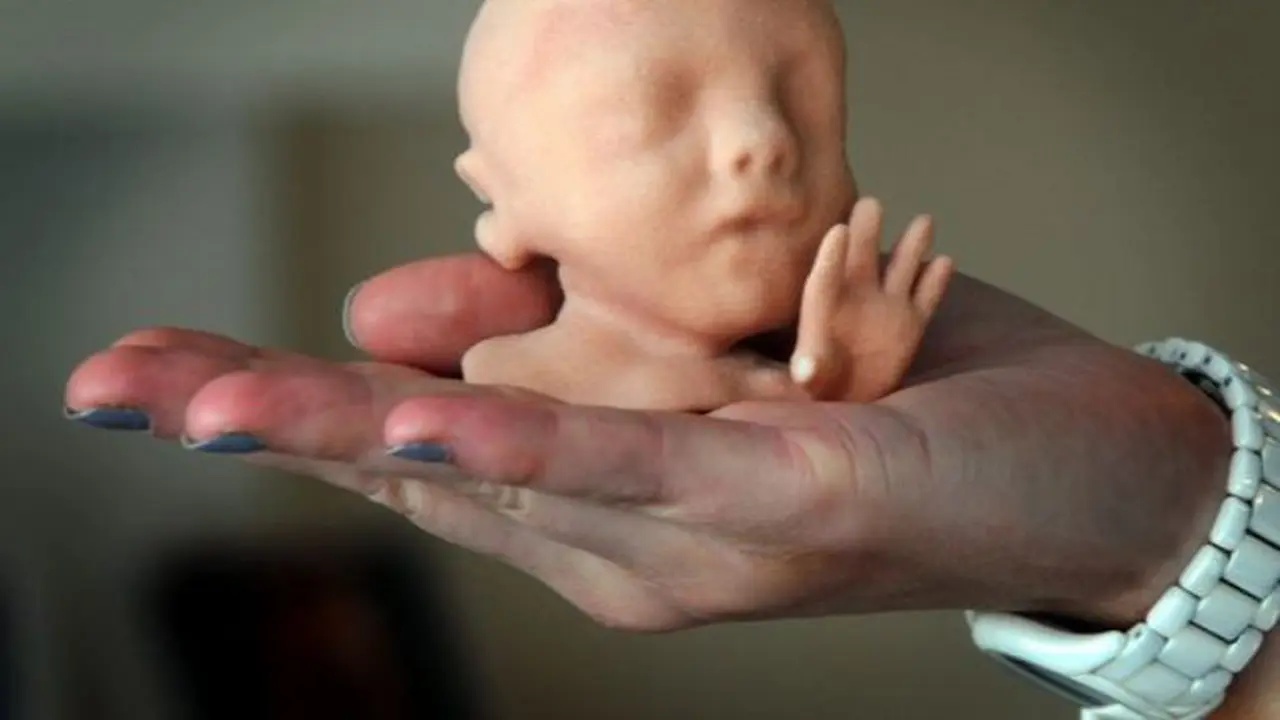 replika 3D bayi dalam kandungan