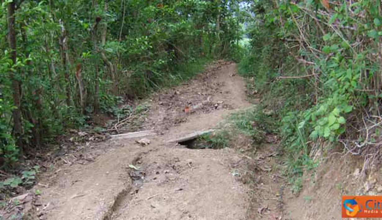 Citizen6, Cianjur: Jalan setapak sepanjang 4 km di Kampung Cimariuk, Kecamatan Sinar Laut, Kabupaten Cianjur. (Pengirim: Reydani Sundani) 