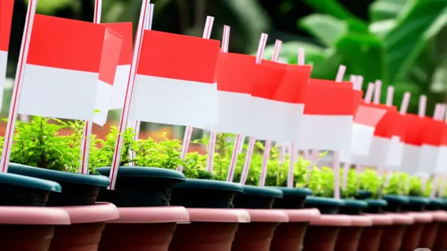 Ide Hiasan 17 Agustus
