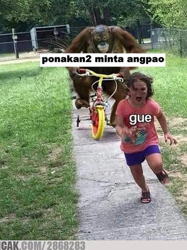 10 Meme Kocak saat Hari Raya Imlek Ini Bikin Senyum Tipis