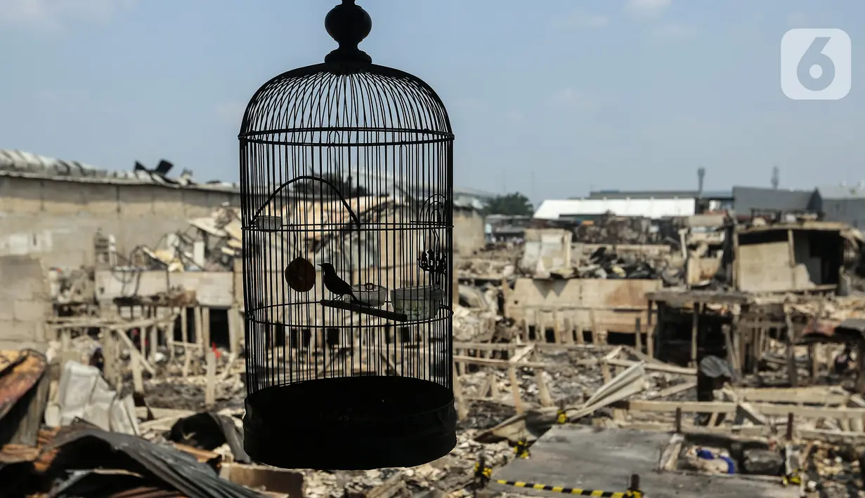 Peristiwa tersebut terjadi pada hari Minggu, 30 Juli 2023 pagi. Penyebab kebakaran diduga berasal dari kompor warga. (Liputan6.com/Johan Tallo)