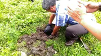 Jenazah janin bayi diduga hasil aborsi ilegal ditemukan di lahan kosong kawasan Bentena, Kabupaten Kepulauan Selayar, Sulsel. (Liputan6.com/Eka Hakim)