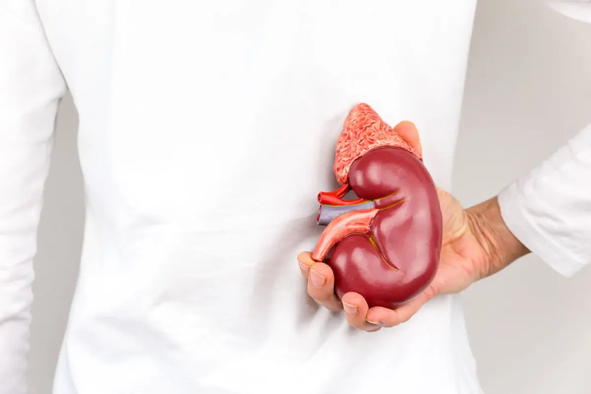 Mengungkap Efek Donor Ginjal bagi Kesehatan