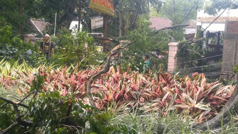 Pemicu Hujan Es Guyur Kota Bandung di Siang Bolong