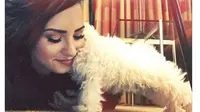 Lucunya Anjing Baru Demi Lovato