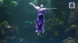 Seorang penampil beratraksi di dalam akuarium Sea World Ancol, Jakarta, Rabu (18/1/2023). Pertunjukan barongsai bawah air tersebut merupakan rangkaian Ancol Lunar Fest 2023 dalam rangka menyambut Tahun Baru Imlek 2574 Kongzili. (Liputan6.com/Herman Zakharia)