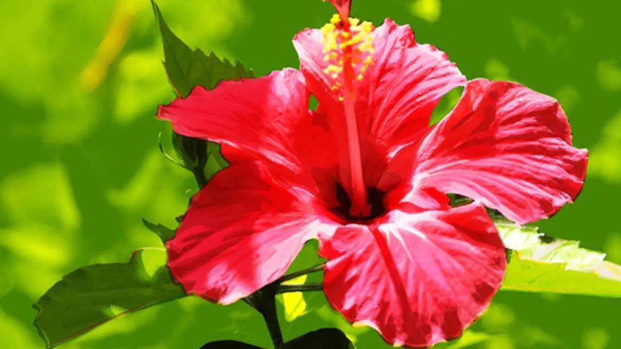 Photo: Copyright Thinkstockphotos.com