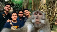 Monyet ajak selfie (Sumber: Twitter/giewahyudi)