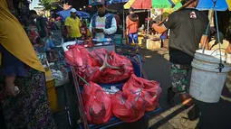 Kementerian Kelautan dan Perikanan (KKP) menegaskan penguatan sektor perikanan tangkap maupun budidaya merupakan langkah strategis untuk memenuhi kebutuhan protein masyarakat yang kian meningkat seiring pesatnya pertumbuhan jumlah penduduk. (Juni Kriswanto/AFP)