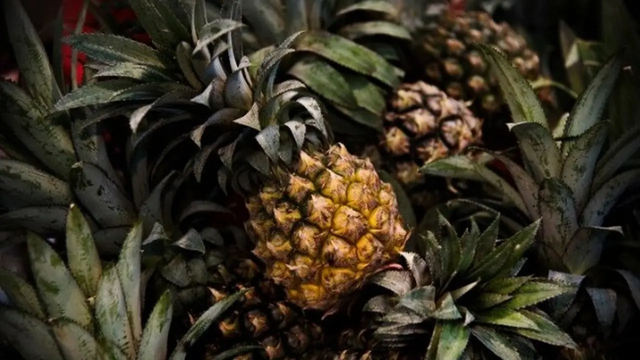 Nanas (Sumber: freepik/rawpixel.com)