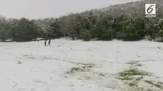 Hujan salju pertama di Dataran Tinggi Golan. Dataran Tinggi Golan adalah sebuah wilayah yang disengketakan antara Israel dan Suriah.