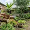 Ternak Lebah Kelulut untuk Pekarangan Rumah, Trik Panen Madu Melimpah