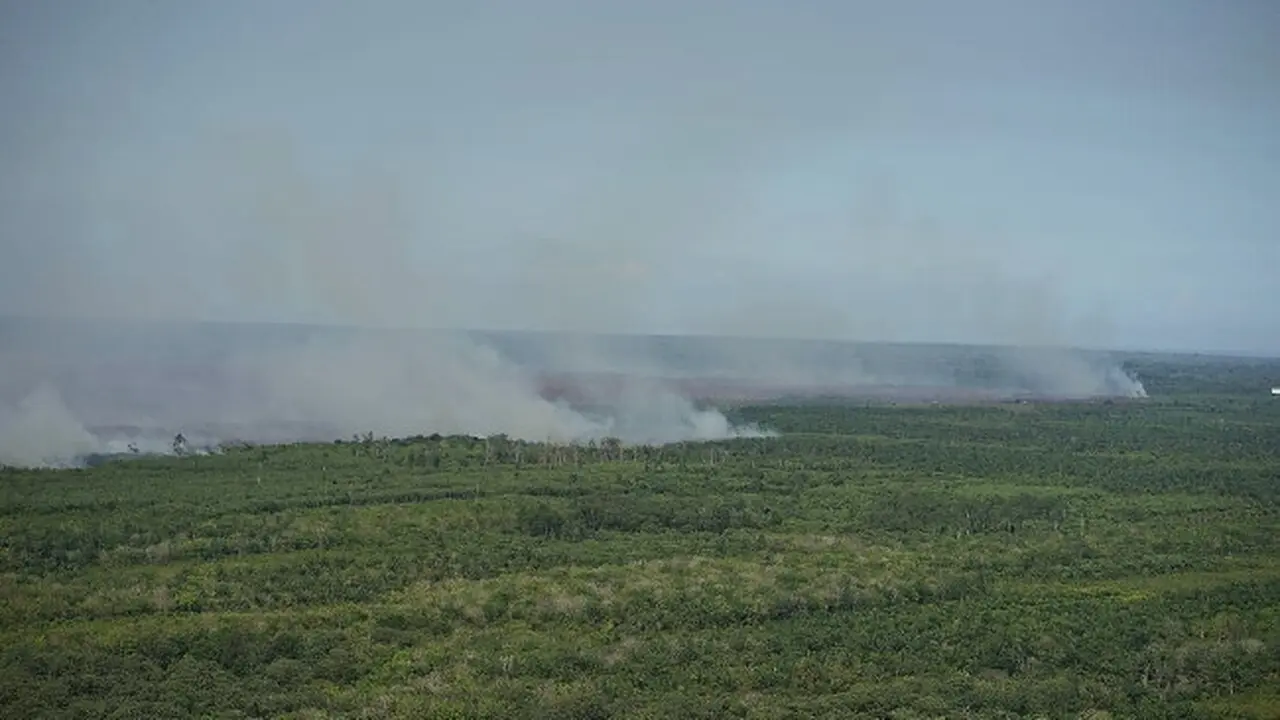 Kebakaran lahan di Riau yang berhasil dipotret petugas dari udara.