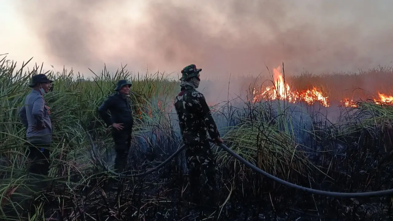 Karhutla TNWK Meluas, 802 Hektare Lahan Terdampak Sejak 21 Agustus