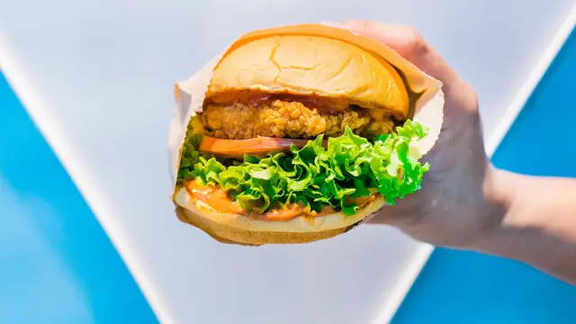 Ilustrasi burger