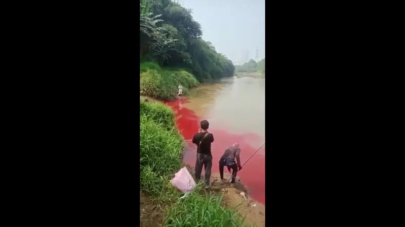 Limbah merah darah cemari Sungai Cisadane di Tangsel