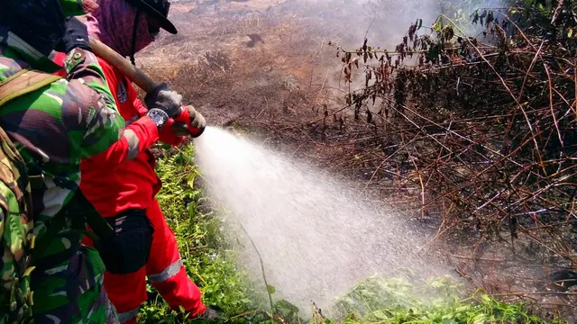 Pemadaman kebakaran lahan gambut di wilayah Kolaka Timur, Sabtu (7/9/2019).(Liputan6.com/Ahmad Akbar Fua)
