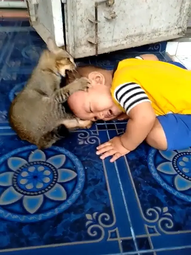 Viral, Video Bocah Menangis Histeris Diserang Kucing Saat Bermain