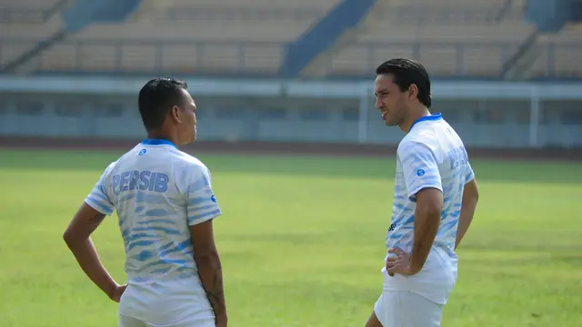 Ferdinand Sinaga, Erwin Snaz, Persib Bandung