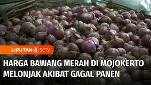 VIDEO: Harga Sembako Masih Tinggi, Bawang Merah di Mojokerto Dijual Rp60.000 per Kilogram