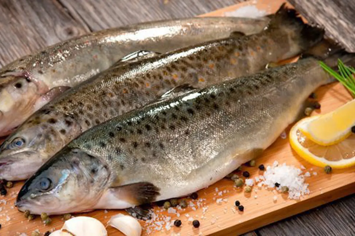 Ikan, sumber makanan penuh gizi/copyright: thinkstockphotos.com