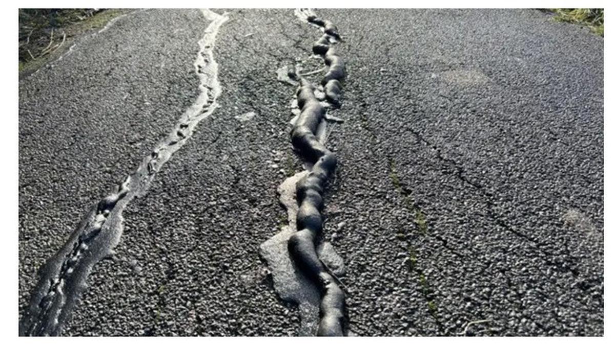 "Ular Misterius" Muncul Lagi di Jalur Sepeda, Picu Pengendara Terjatuh