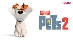 Sinopsis Film The Secret Life of Pets 2 di Vidio: Film Anak tentang Kehidupan Rahasia Para Hewan