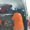 Dari Apartemen di India, Rocky si Orangutan Akhirnya Pulang ke Indonesia