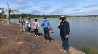 Pemerintah Libatkan Masyarakat untuk Pengembangan Mangrove di Tarakan