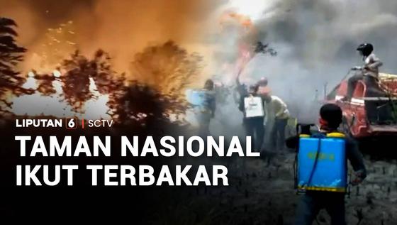 Taman Nasional Ikut Terbakar