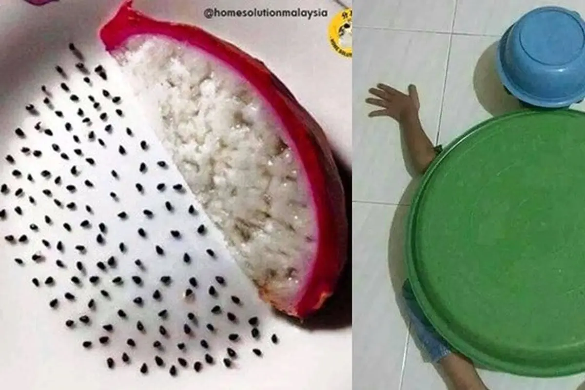 6 Aksi Nyeleneh Orang Saat Gabut Ini Bikin Geleng Kepala