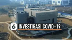 investigasi covid