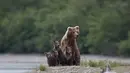 short desc