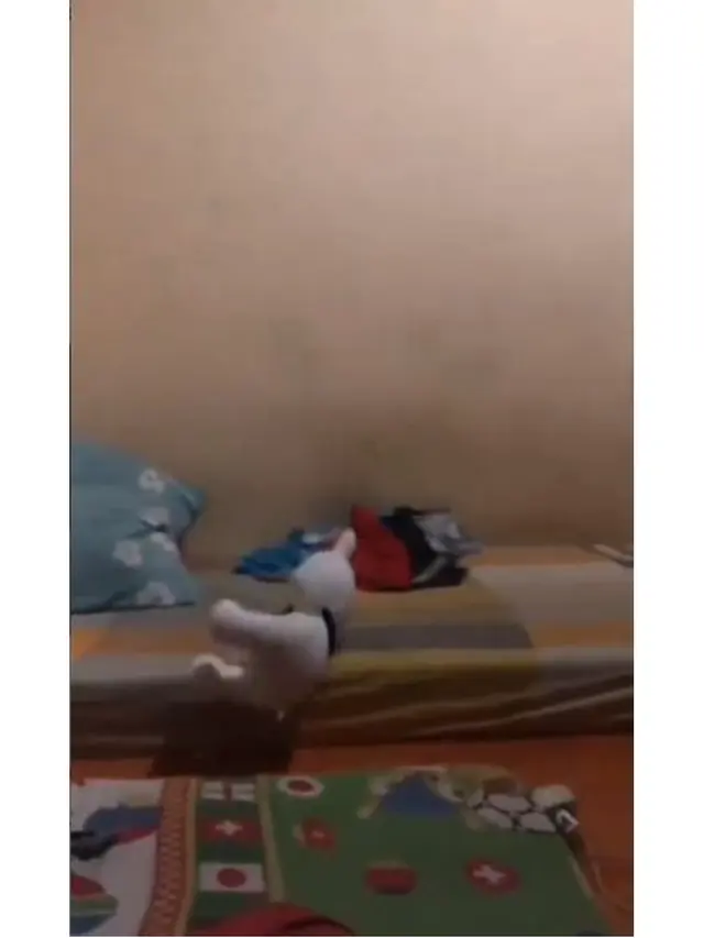 Heboh Boneka di Kamar Kos Pria Ini Bergerak Sendiri, Ternyata Hanya Konten