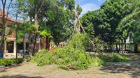 Pohon tumbang di kantor Balai Kota Depok akibat terjangan angin puting beliung. (Liputan6.com/Dicky Agung Prihanto)
