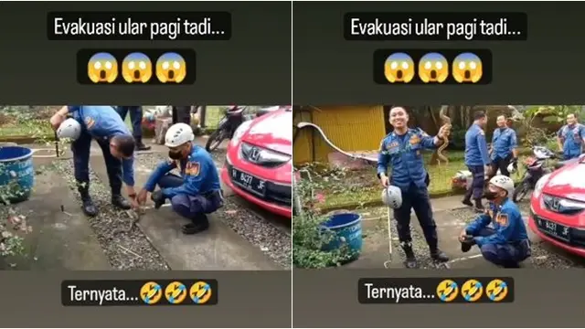 Petugas Damkar Ini Dibuat Ngakak saat Tangkap Ular di Tanaman, Netizen: Kena Prank