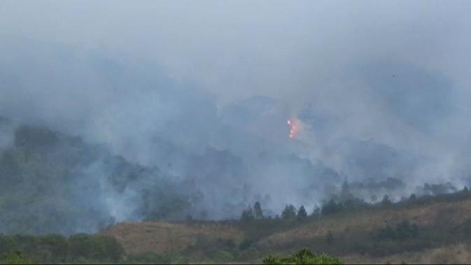 Sekat Bakar Usaha Bendung Kobaran Api Di Hutan Gunung Ciremai Terbakar Regional Liputan6 Com