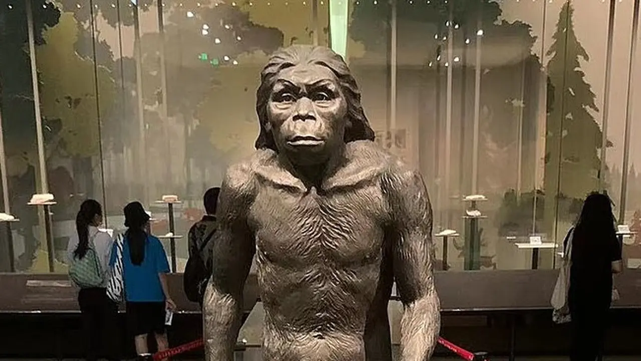 Manusia Purba Homo Erectus (Wikipedia/Creative Commons)