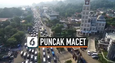 THUMBNAIL PUNCAK