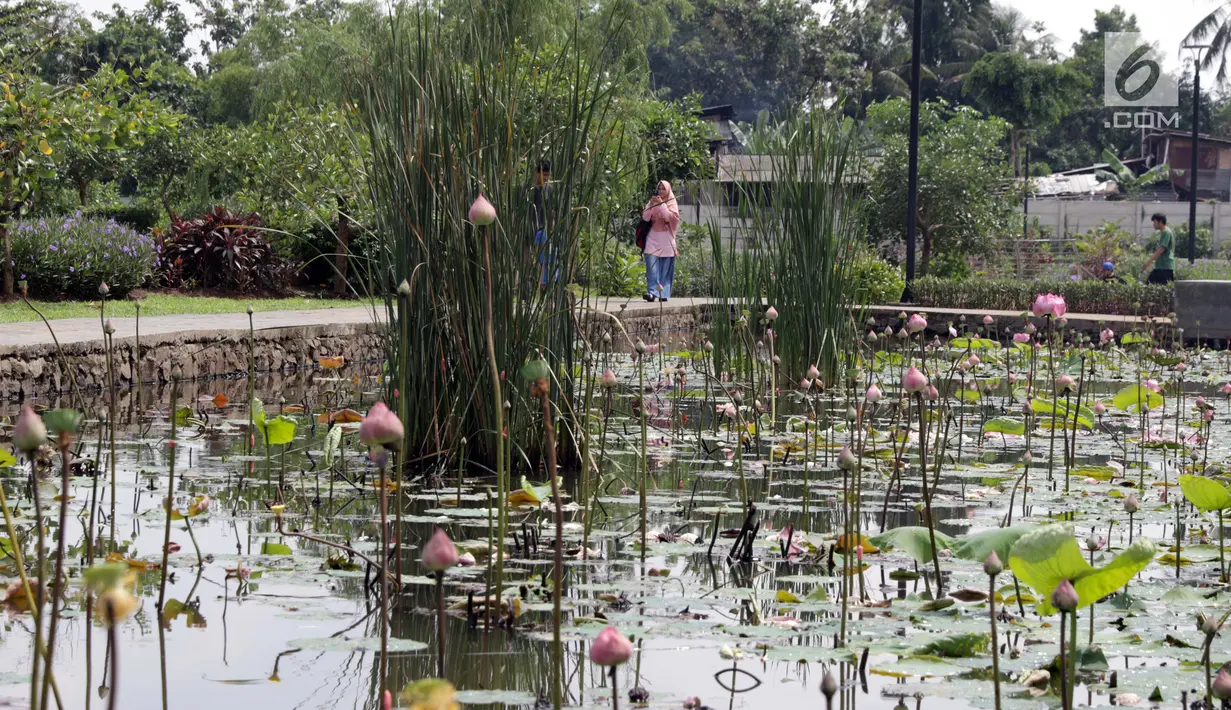Warga berjalan-jalan di kawasan Taman Piknik, Jakarta, Minggu (20/1). Taman seluas 1 hektar di Jalan Manunggal II, Cipinang Melayu, Jakarta Timur ini menjadi salah satu taman baru milik Pemprov DKI Jakarta untuk warga. (Liputan6.com/Helmi Fithriansyah)